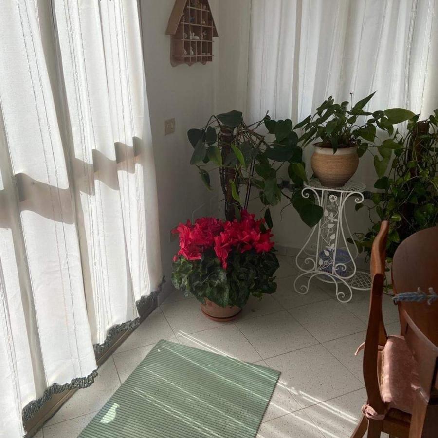 Casa Maltinu Villa Santa Teresa Gallura Buitenkant foto