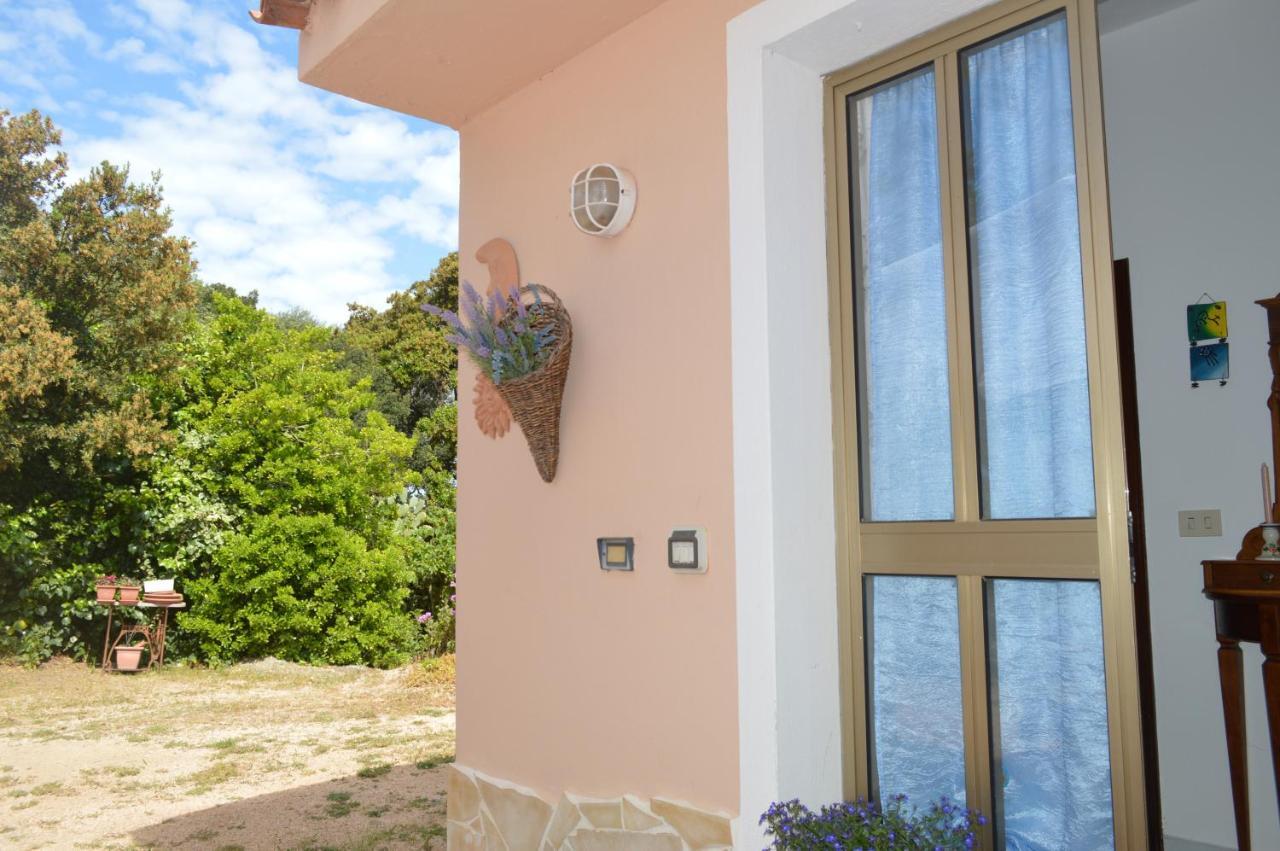 Casa Maltinu Villa Santa Teresa Gallura Buitenkant foto