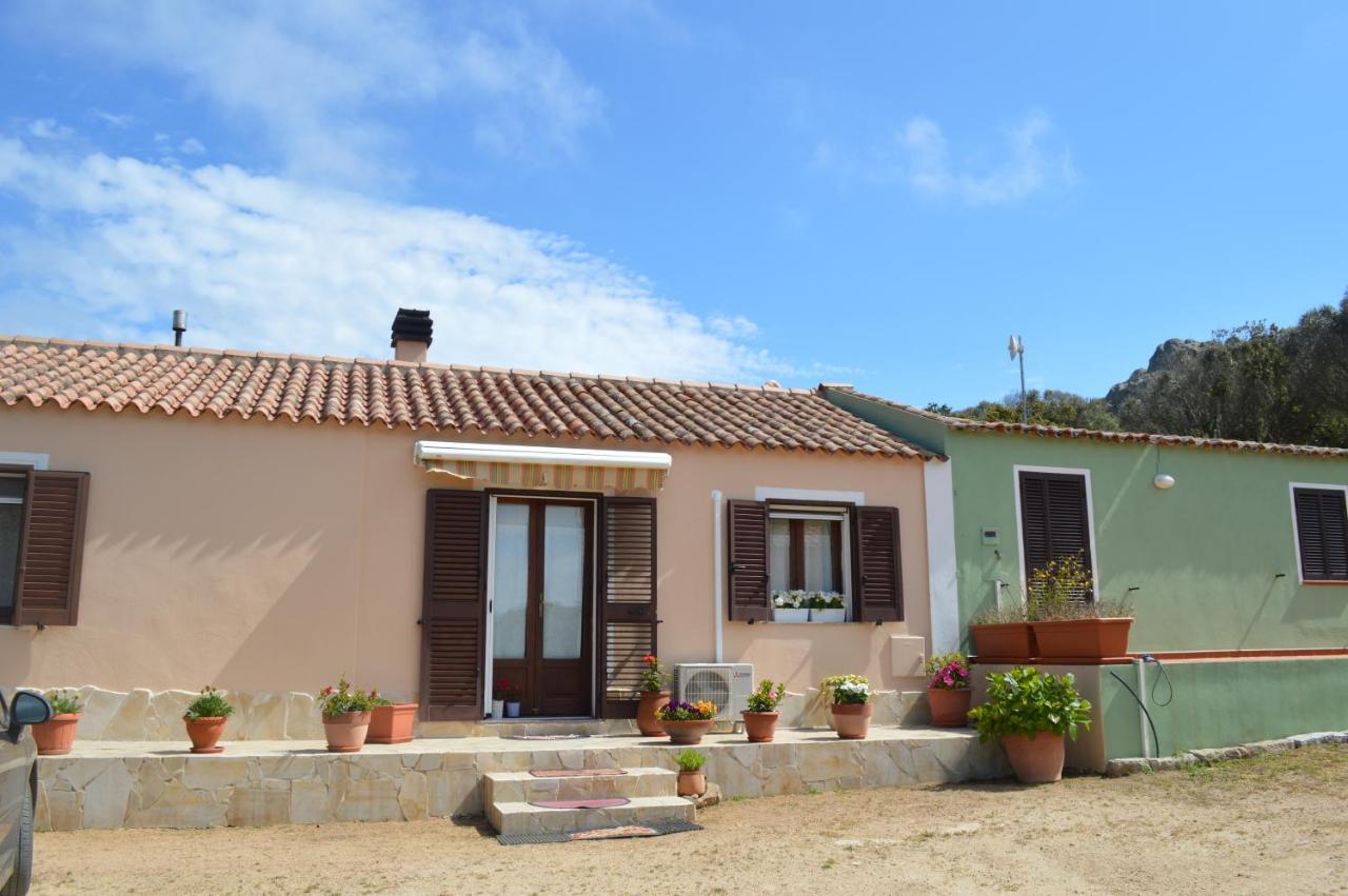 Casa Maltinu Villa Santa Teresa Gallura Buitenkant foto