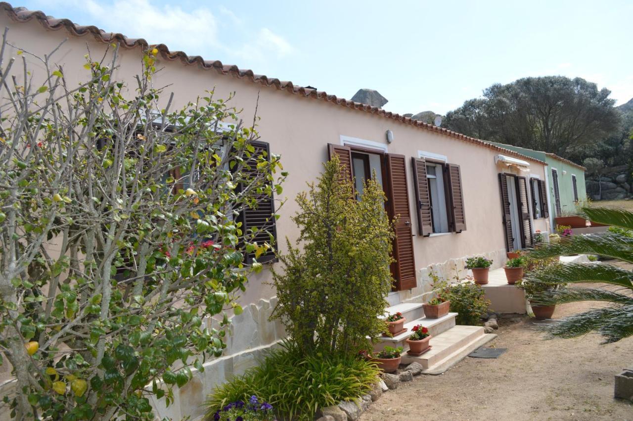 Casa Maltinu Villa Santa Teresa Gallura Buitenkant foto