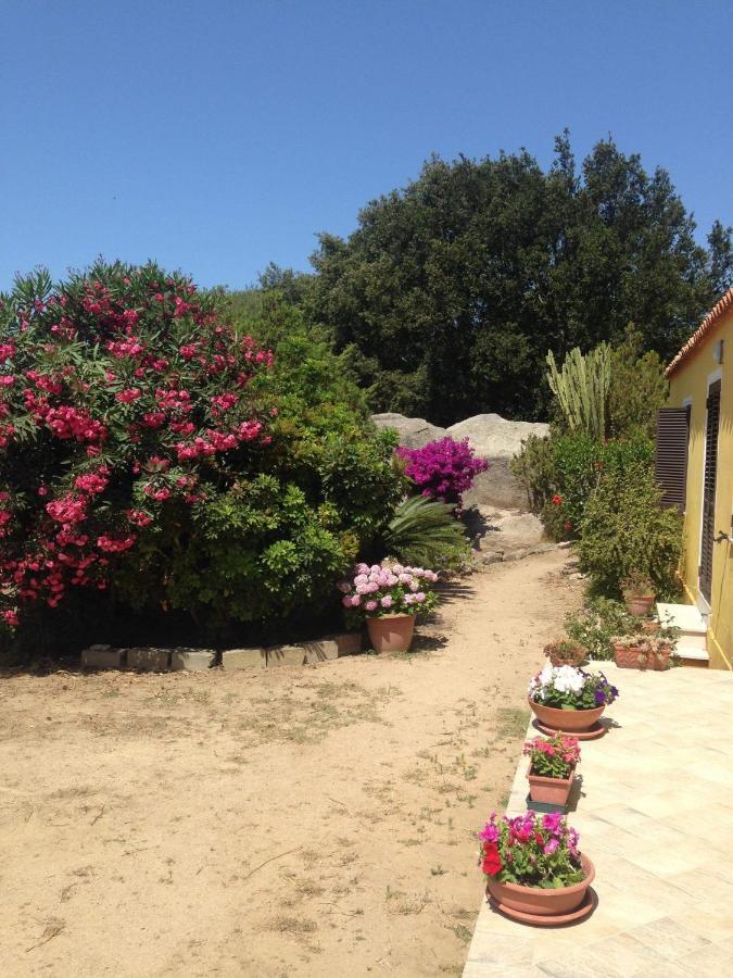 Casa Maltinu Villa Santa Teresa Gallura Buitenkant foto
