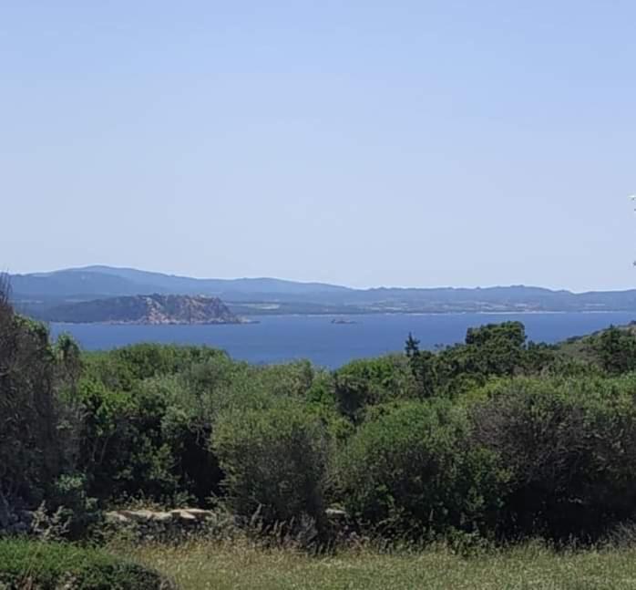 Casa Maltinu Villa Santa Teresa Gallura Buitenkant foto