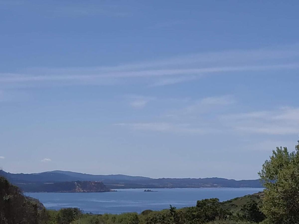 Casa Maltinu Villa Santa Teresa Gallura Buitenkant foto